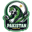 Pakistan Champions Flag